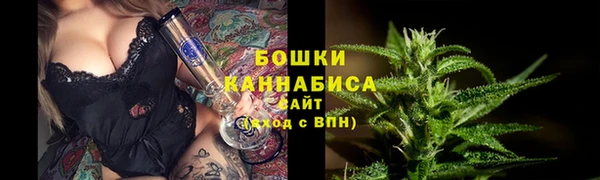 индика Пестово