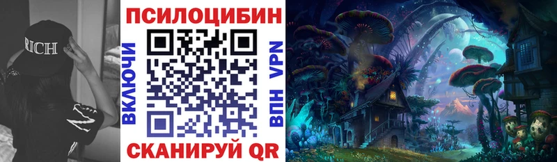 где купить наркотик Темрюк Псилоцибиновые грибы мухоморы