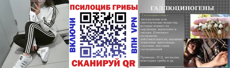 Галлюциногенные грибы Cubensis Темрюк